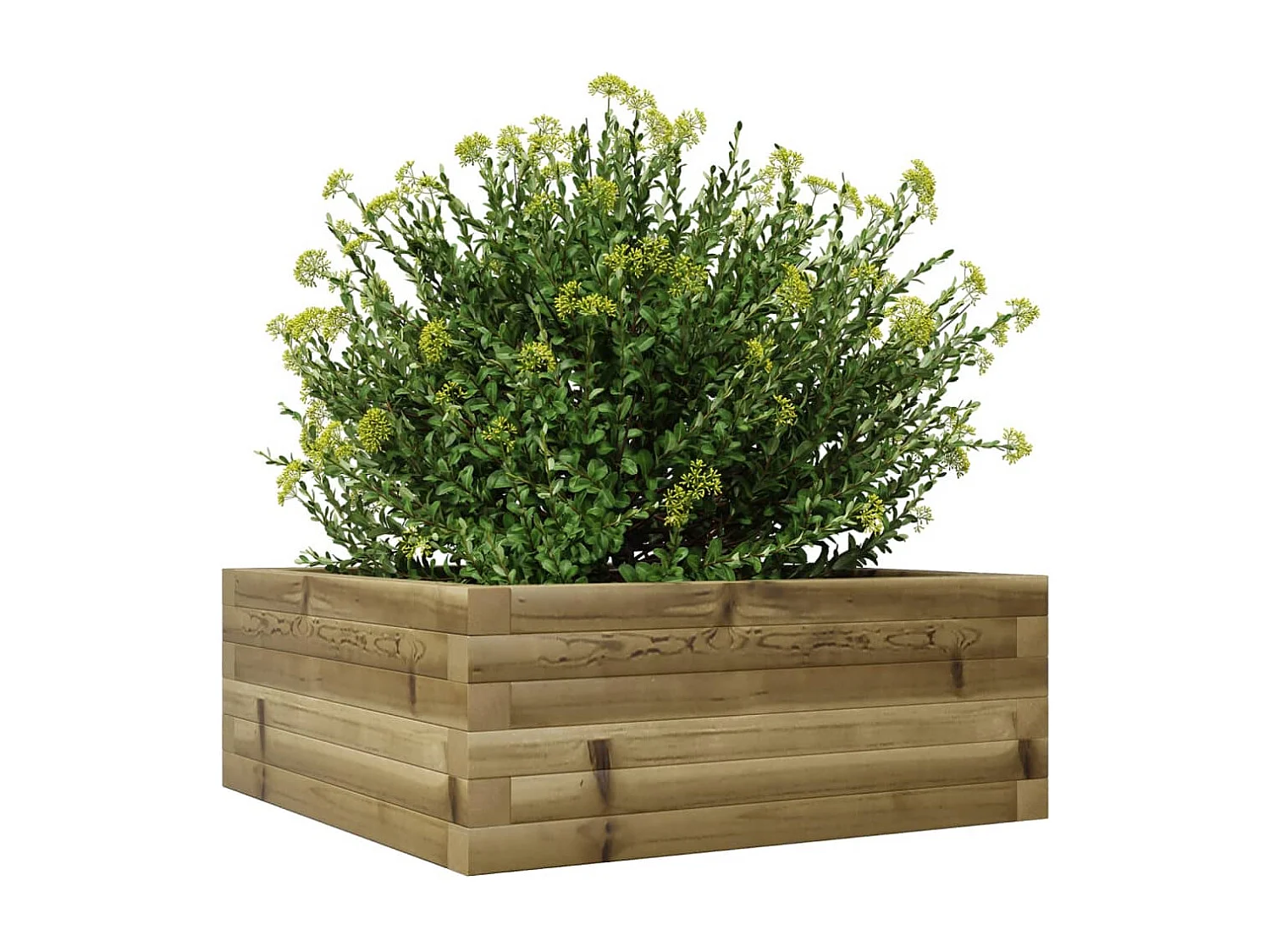 Jardinière 60x60x23 cm bois de pin imprégné