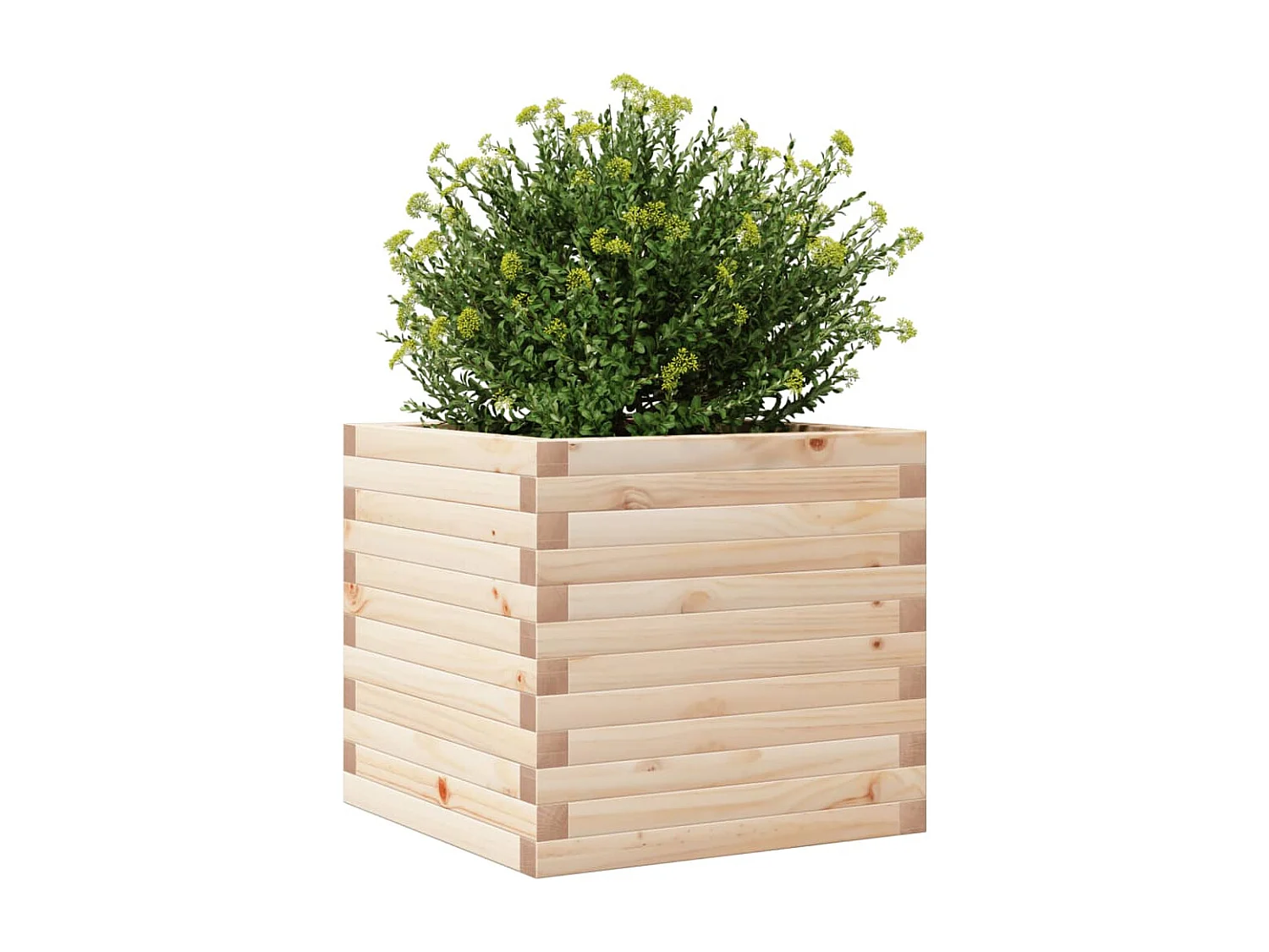 Jardinière 50x50x45,5 cm bois de pin massif