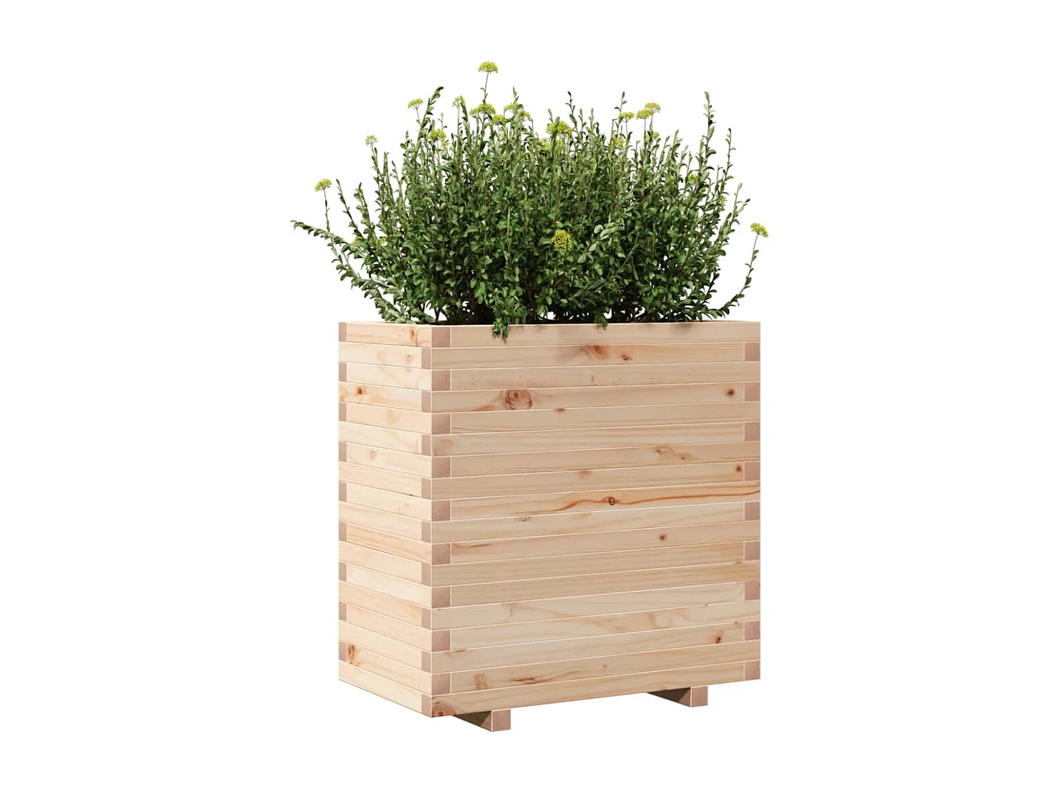 Jardinière 70x40x72 cm bois de pin massif