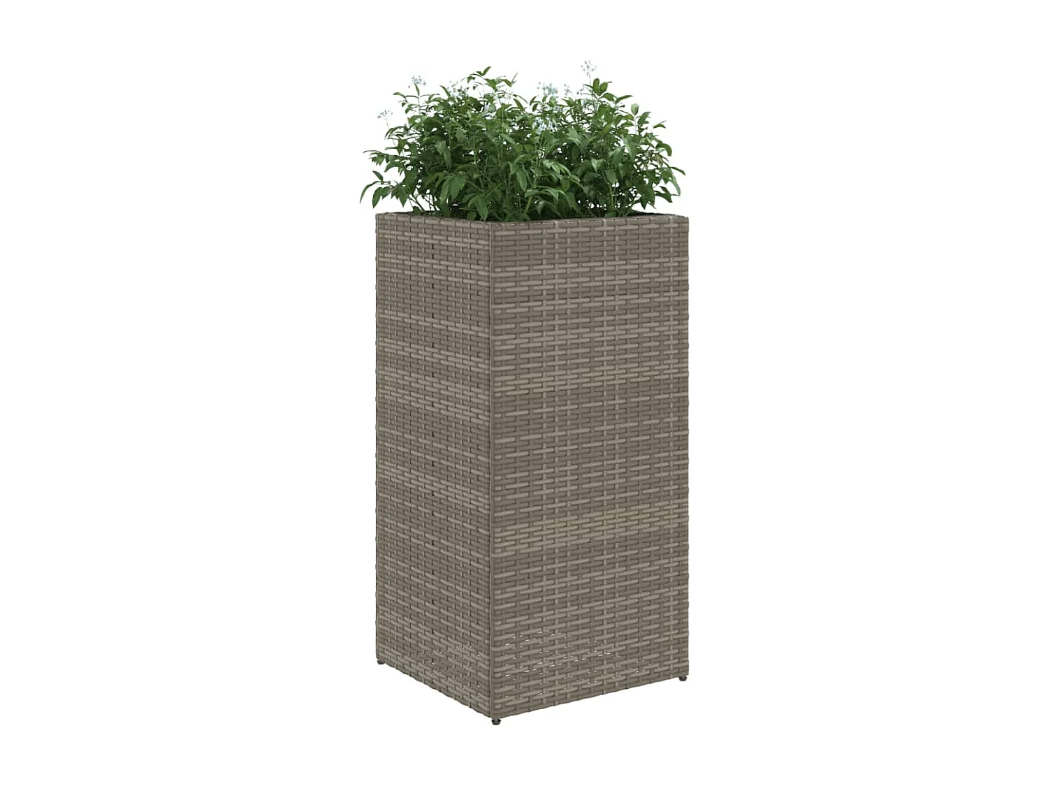 Vaso/floreira de jardim 40x40x80 cm vime PE cinzento