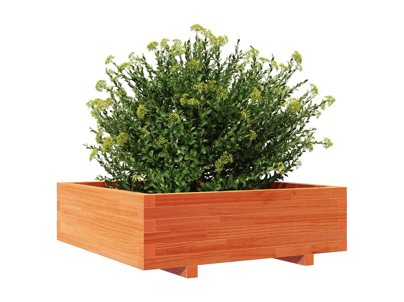 Plantenbak 80x80x26,5 cm massief grenenhout wasbruin