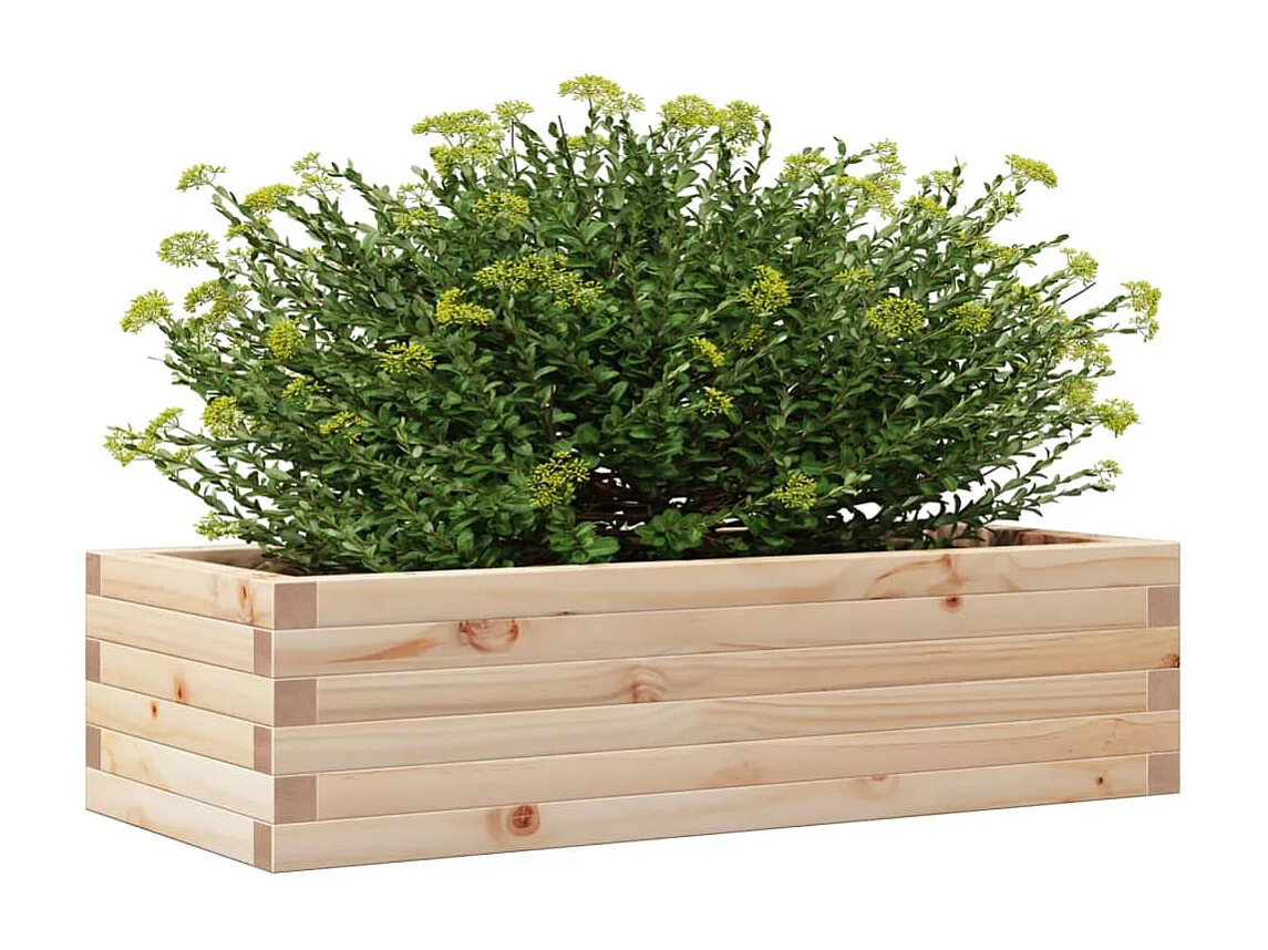 Jardinière 90x40x23 cm bois de pin massif