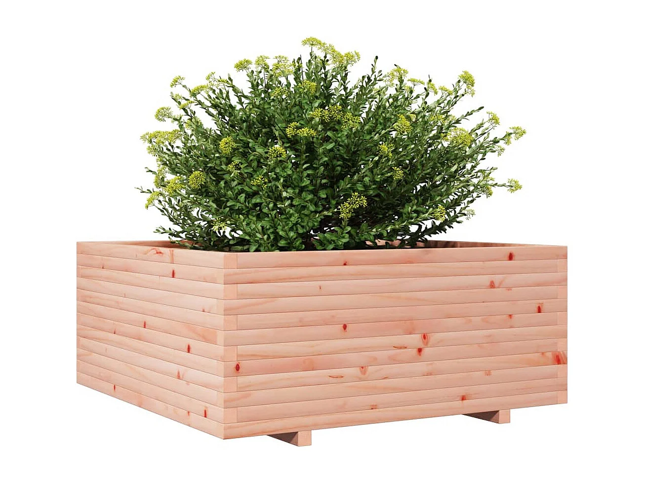 Vaso/floreira de jardim 110x110x49,5 cm madeira douglas maciça