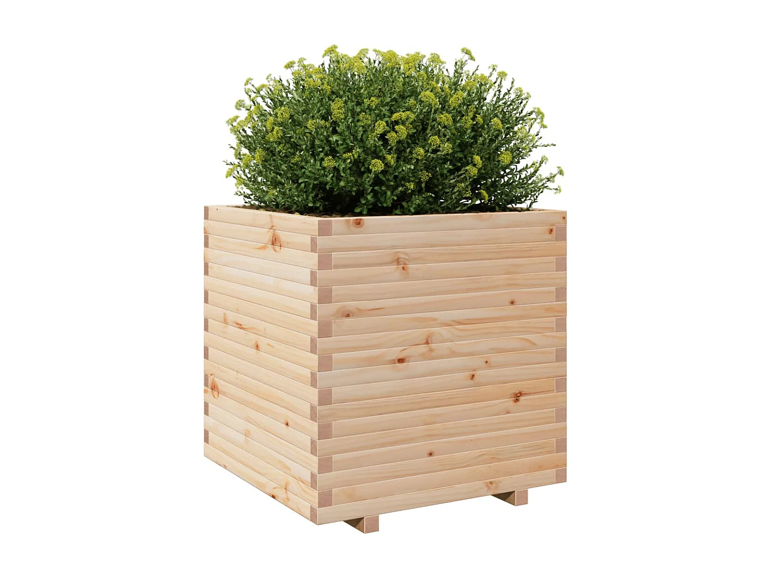 Pflanzkübel 70x70x72,5 cm Massivholz Kiefer