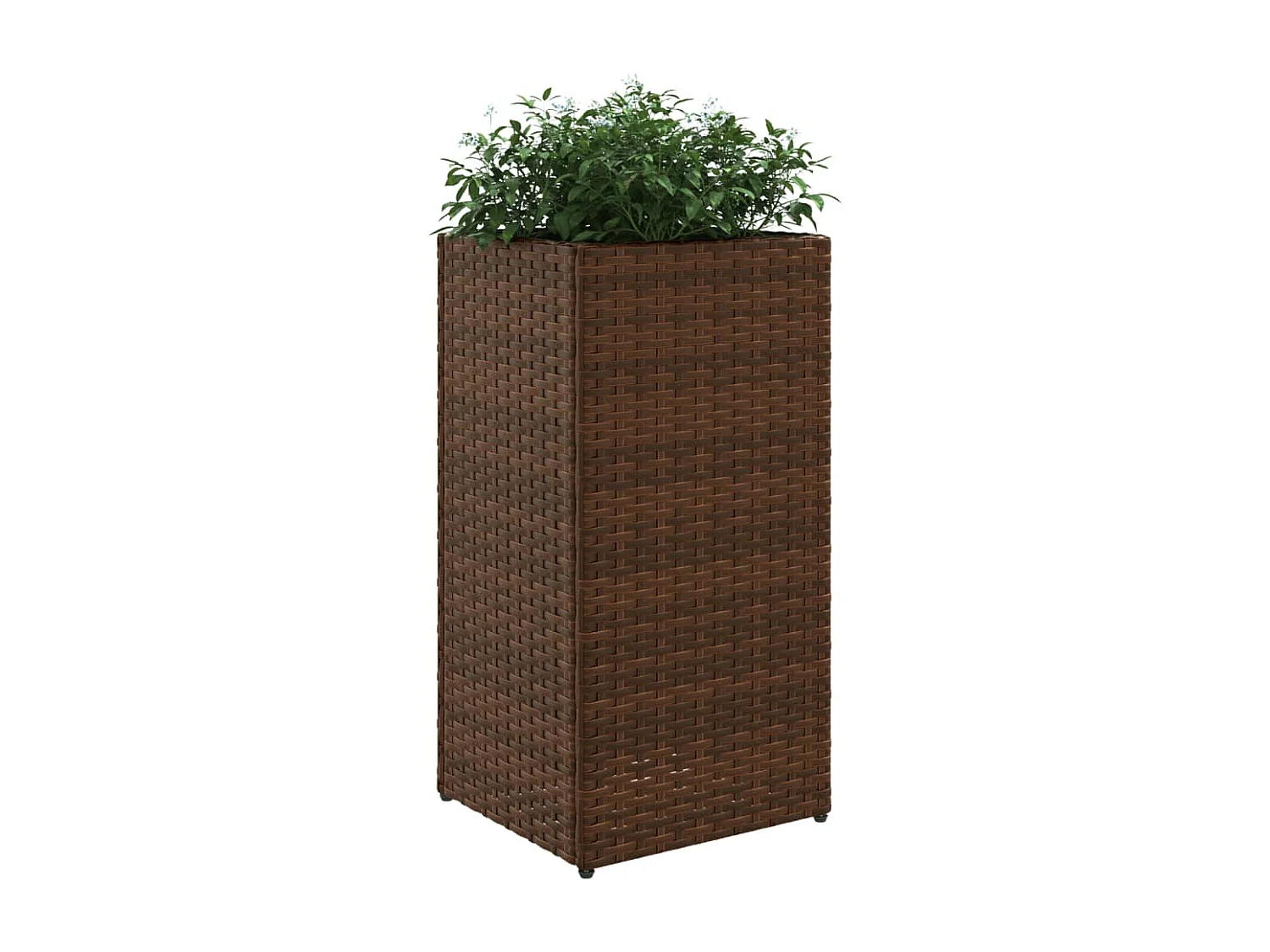 Jardinières 2 pcs marron 30x30x60 cm résine tressée