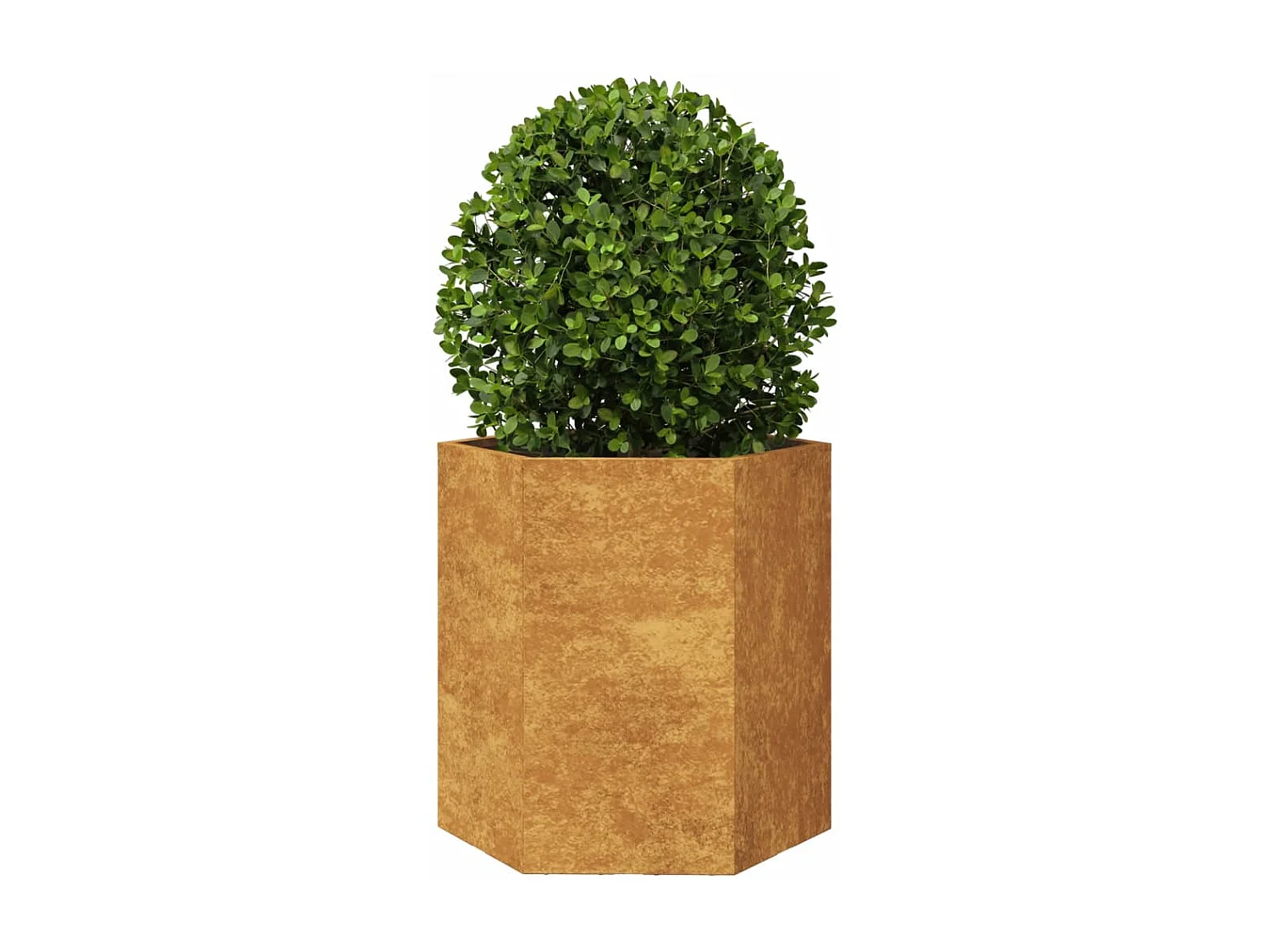 Jardinières 2 pcs hexagone 46x40x45 cm acier corten