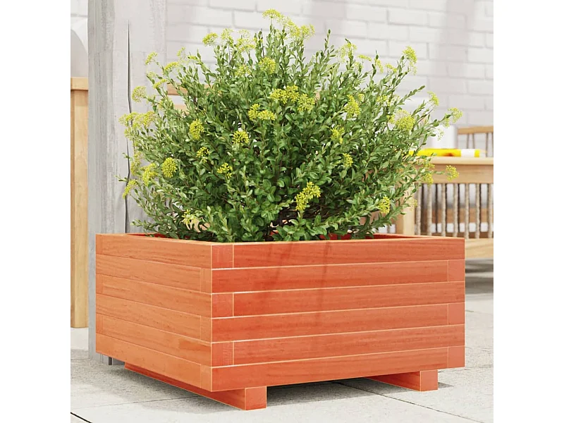 Vaso/floreira de jardim 50x50x26,5 cm pinho maciço castanho-mel