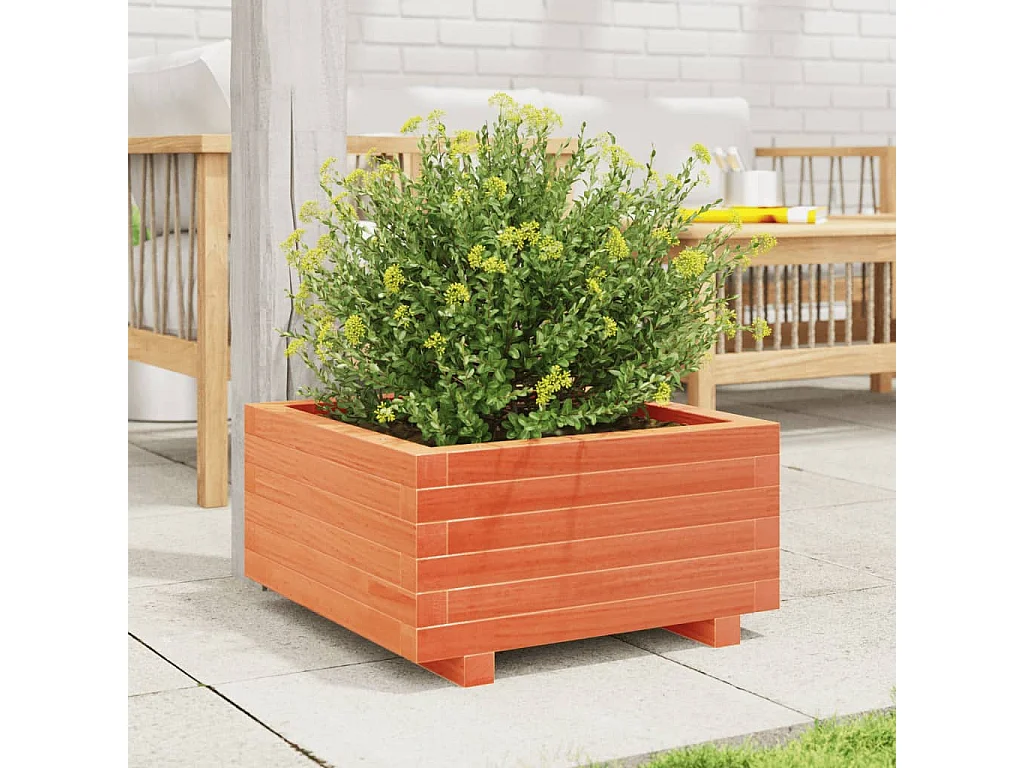 Jardinière cire marron 50x50x26,5 cm bois de pin massif