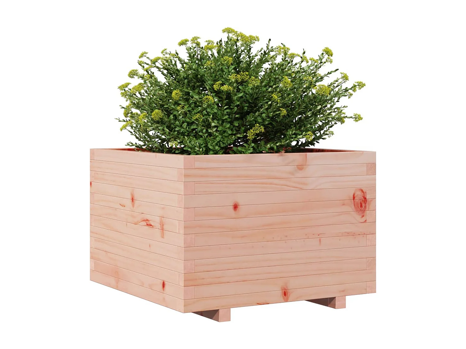 Jardinière 70x70x49,5 cm bois massif douglas