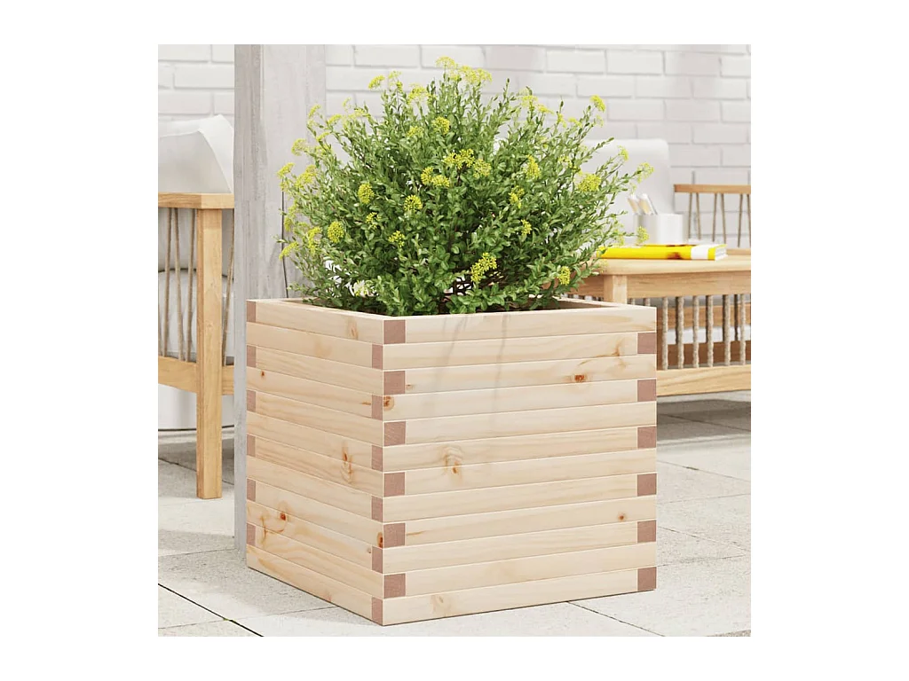 Jardinière 50x50x46 cm bois de pin massif