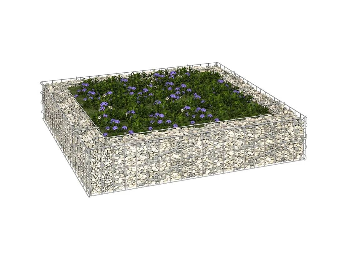 Lit surélevé à gabion Acier galvanisé 100x100x20 cm