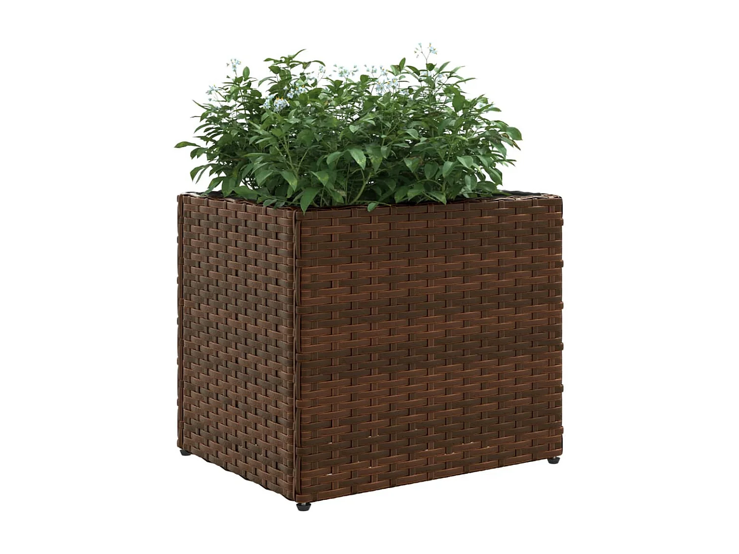 Jardinières 2 pcs marron 36x30x32 cm résine tressée