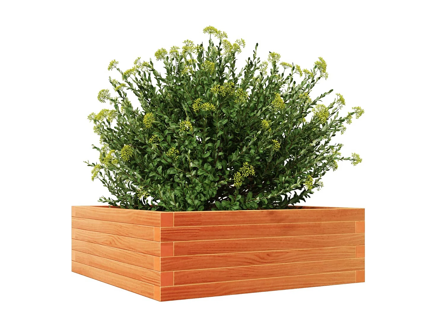 Vaso/floreira de jardim 70x70x23 cm pinho maciço castanho-mel