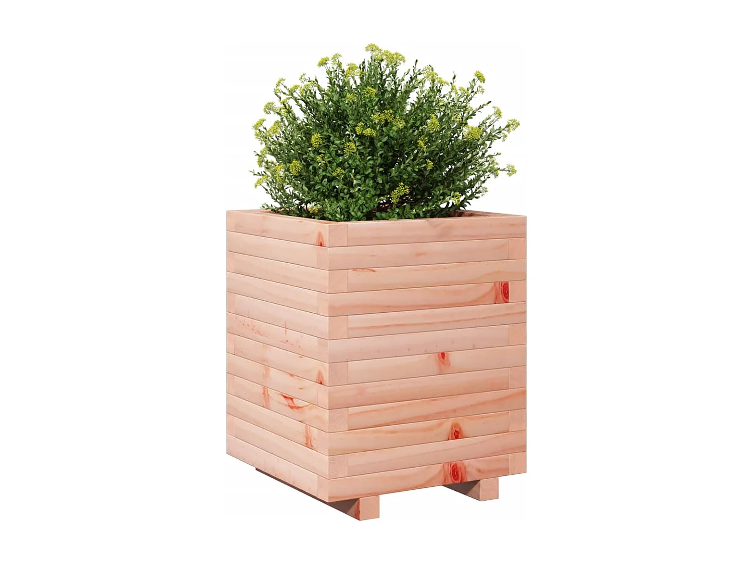 Fioriera da Giardino 40x40x49,5 cm in Legno Massello di Douglas