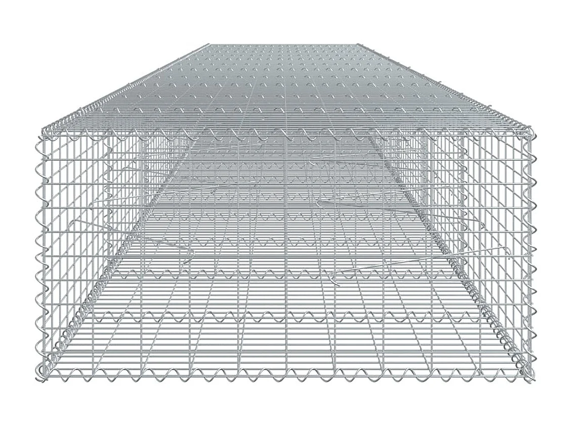 Panier gabion avec couvercle 600x100x50 cm fer galvanisé