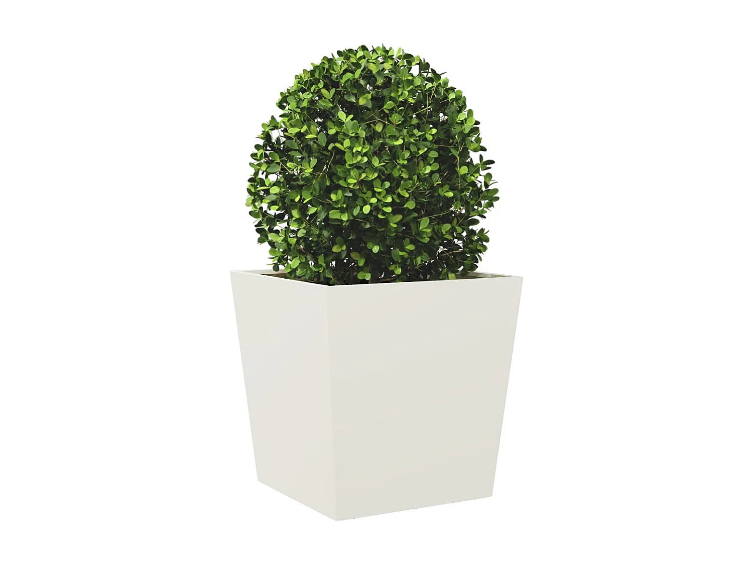 Jardinières 2 pcs blanc 50x50x50 cm acier