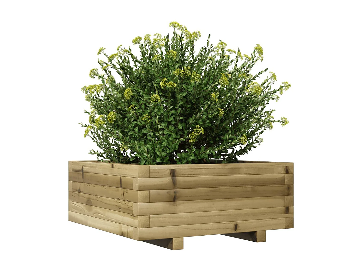 Jardinière 60x60x26,5 cm bois de pin imprégné