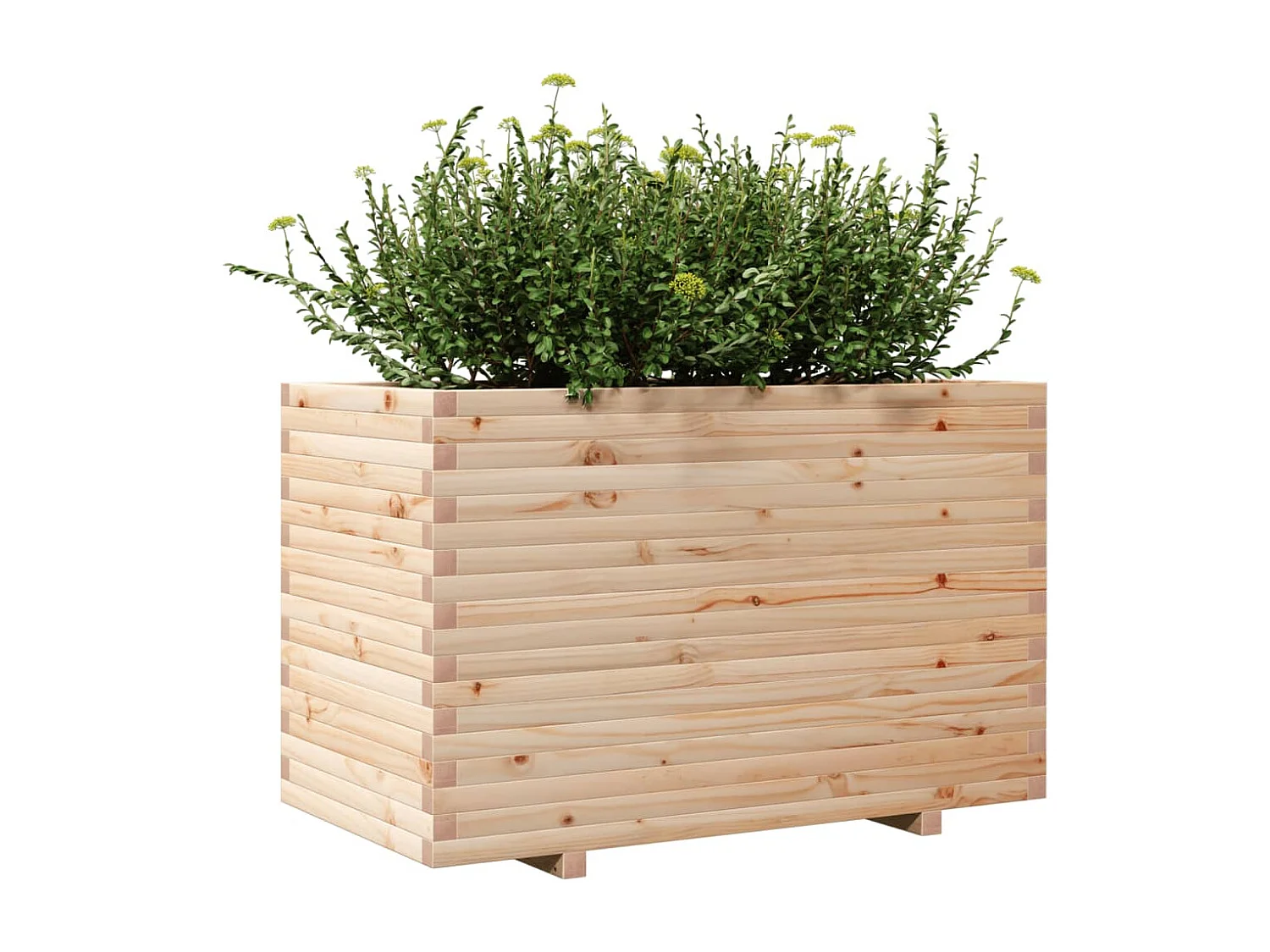 Pflanzkübel 110x60x72 cm Massivholz Kiefer