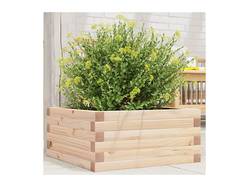 Jardinière 50x50x23 cm bois de pin massif