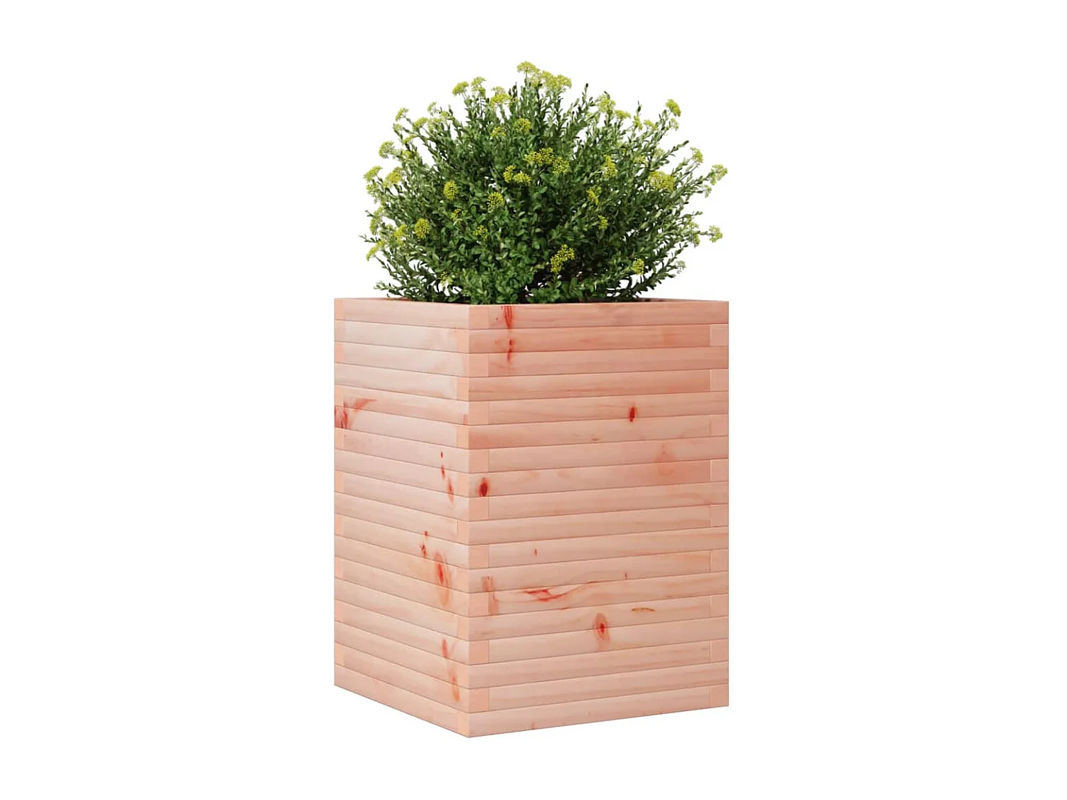 Fioriera da Giardino 50x50x68,5 cm in Legno Massello di Douglas