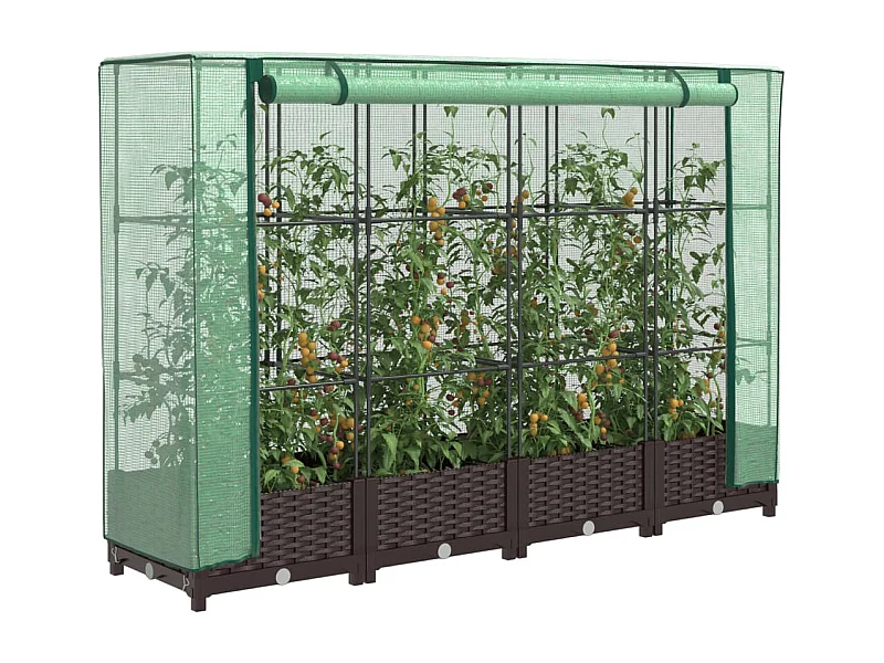 Letto Rialzato con Copertura Serra Effetto Rattan 160x40x123 cm