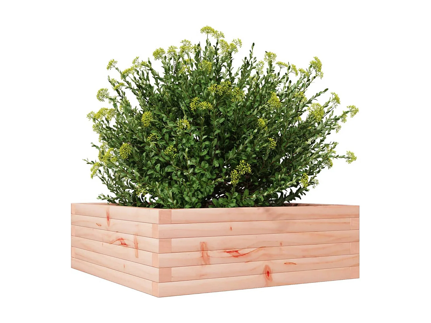 Jardinière 70x70x23 cm bois massif douglas