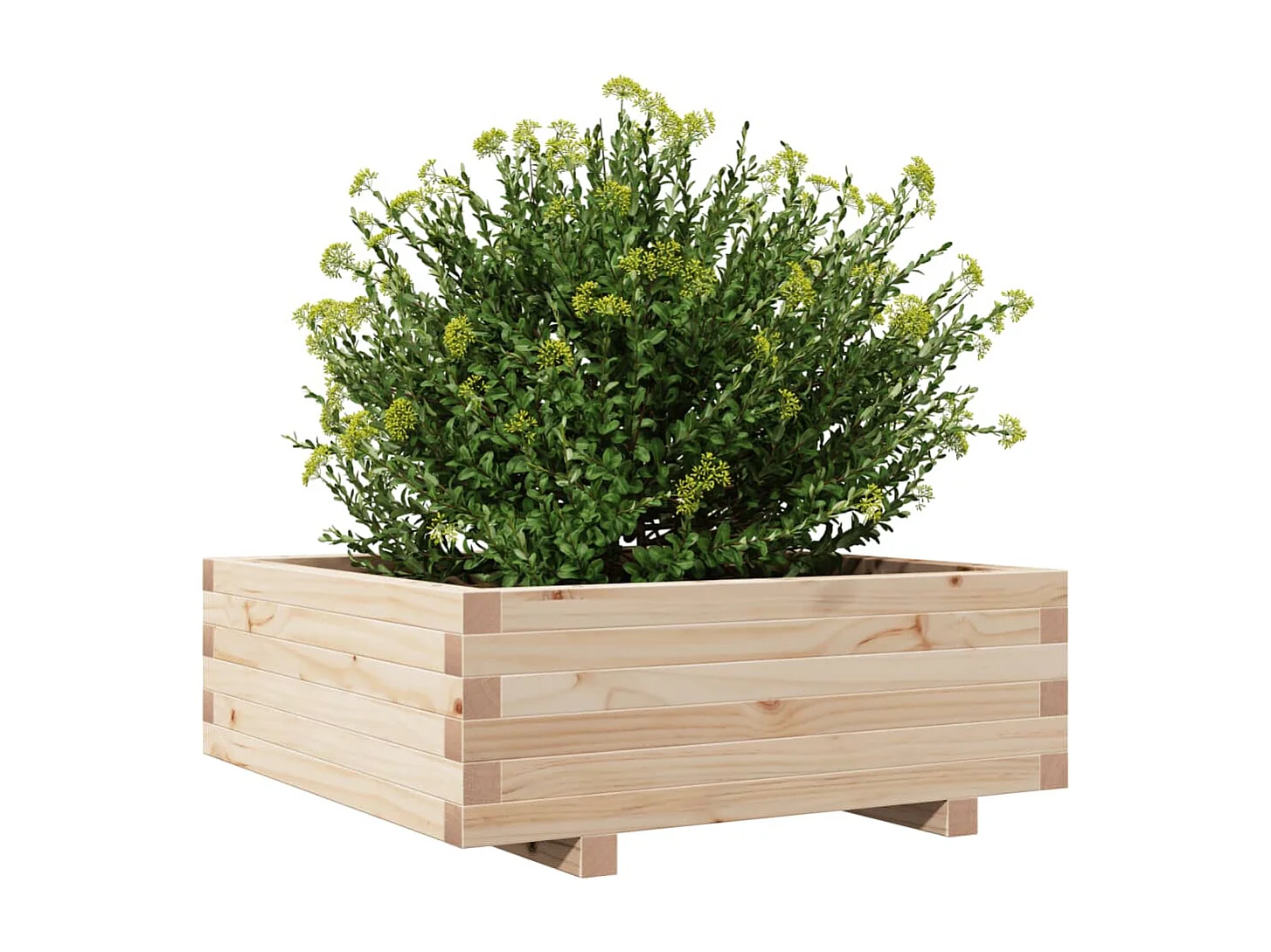 Jardinière 70x70x26,5 cm bois de pin massif