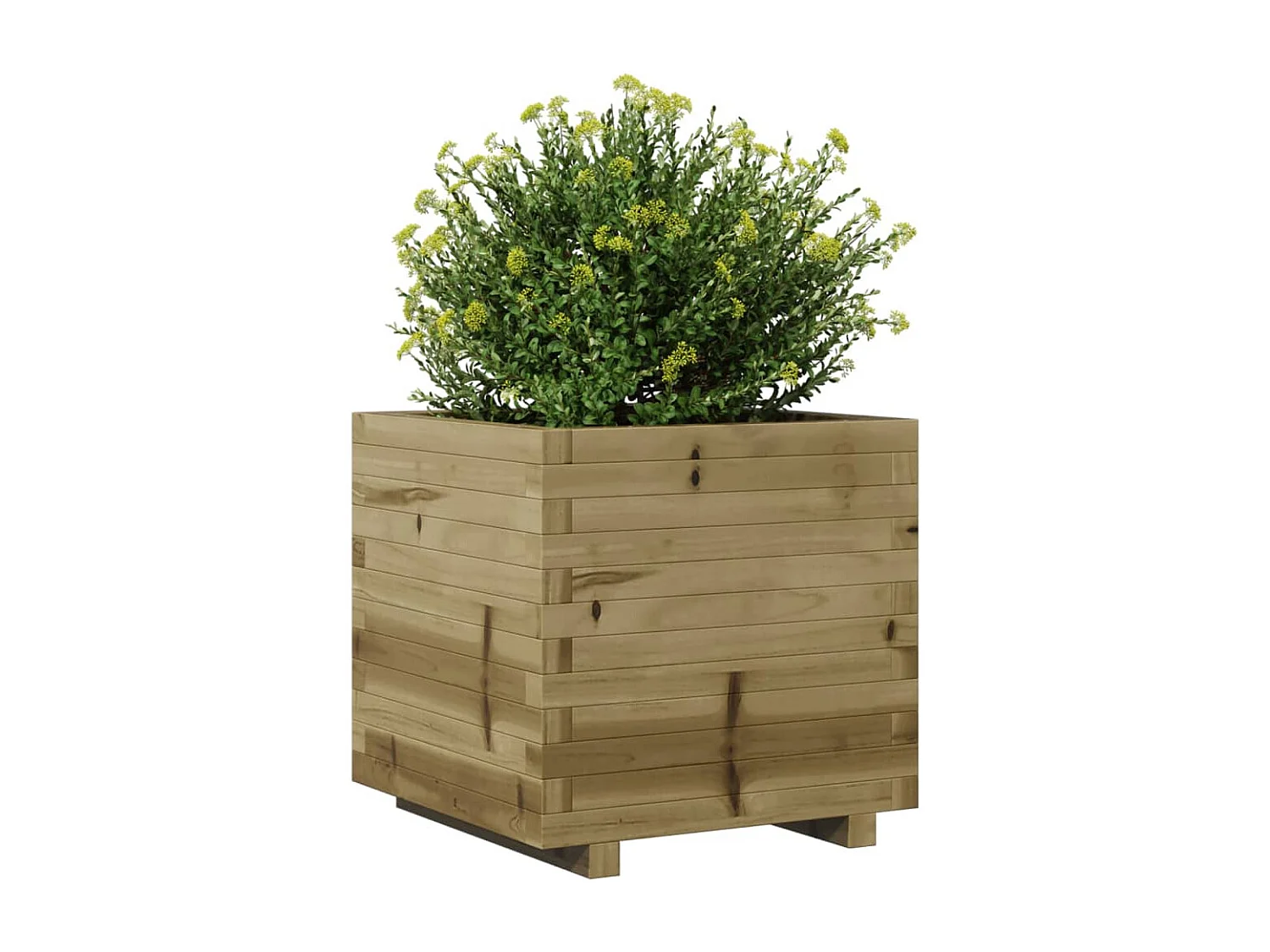 Jardinière 50x50x49,5 cm bois de pin imprégné