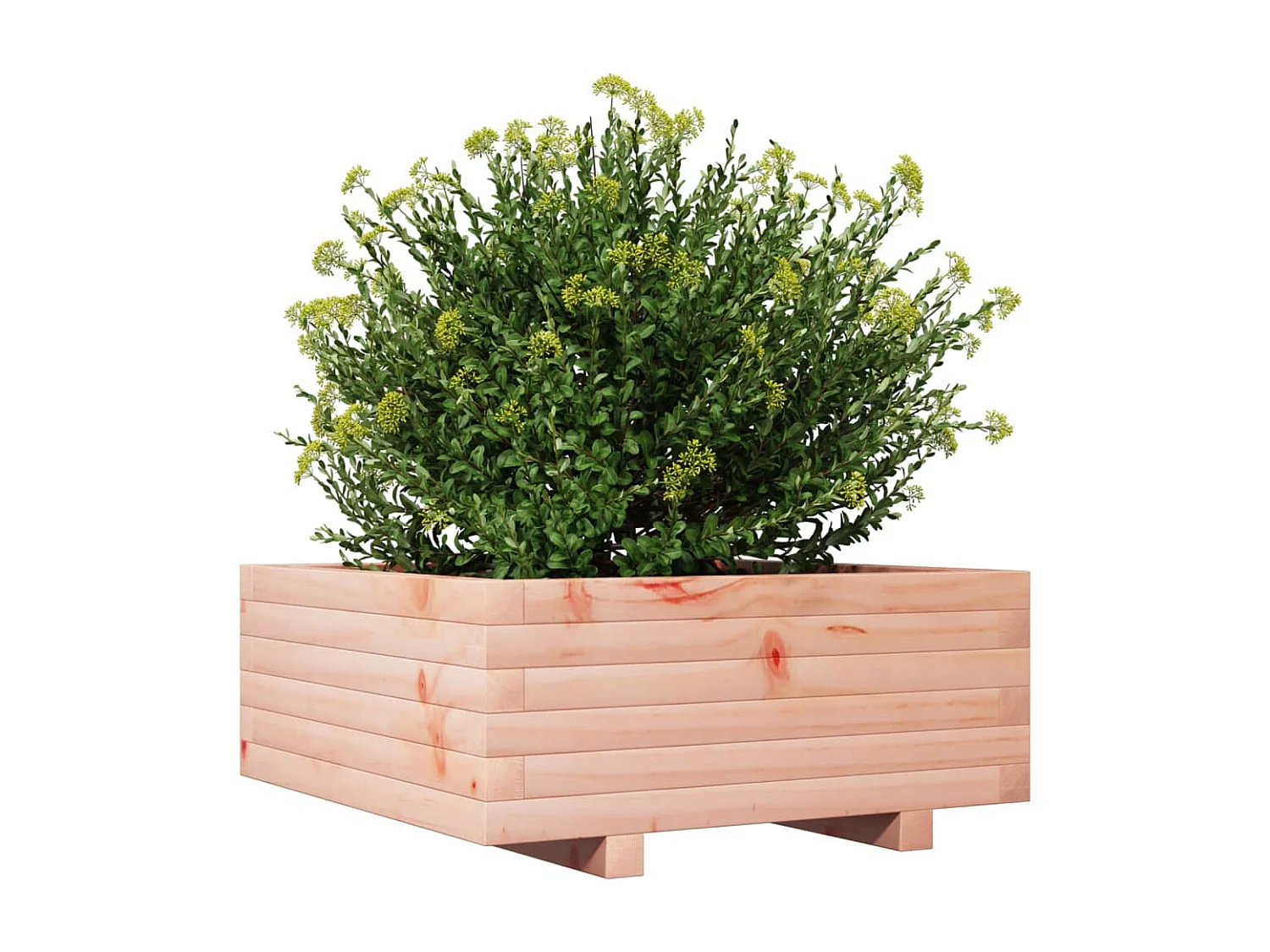 Jardinière 60x60x26,5 cm bois massif douglas