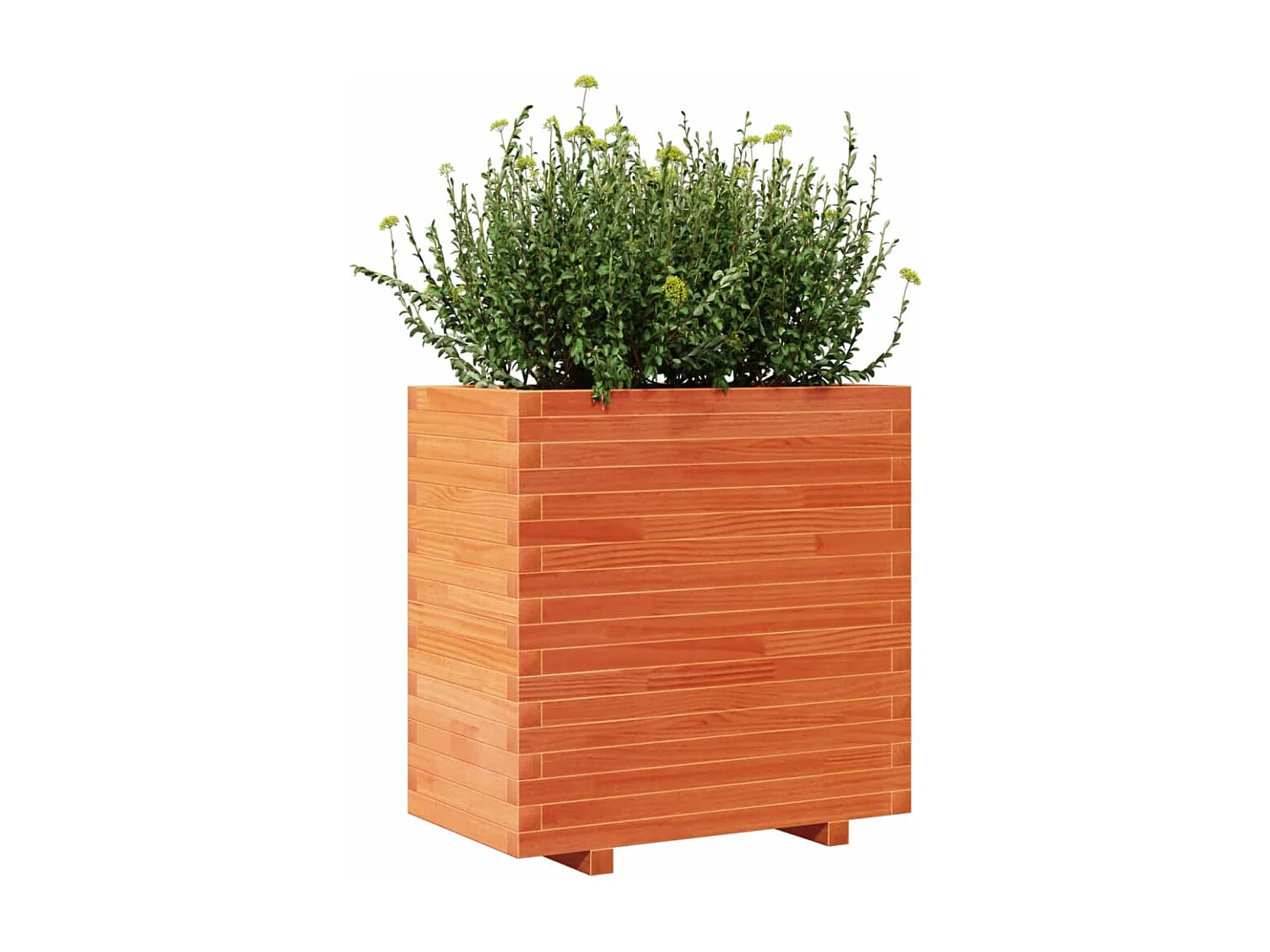 Jardinière cire marron 70x40x72 cm bois de pin massif