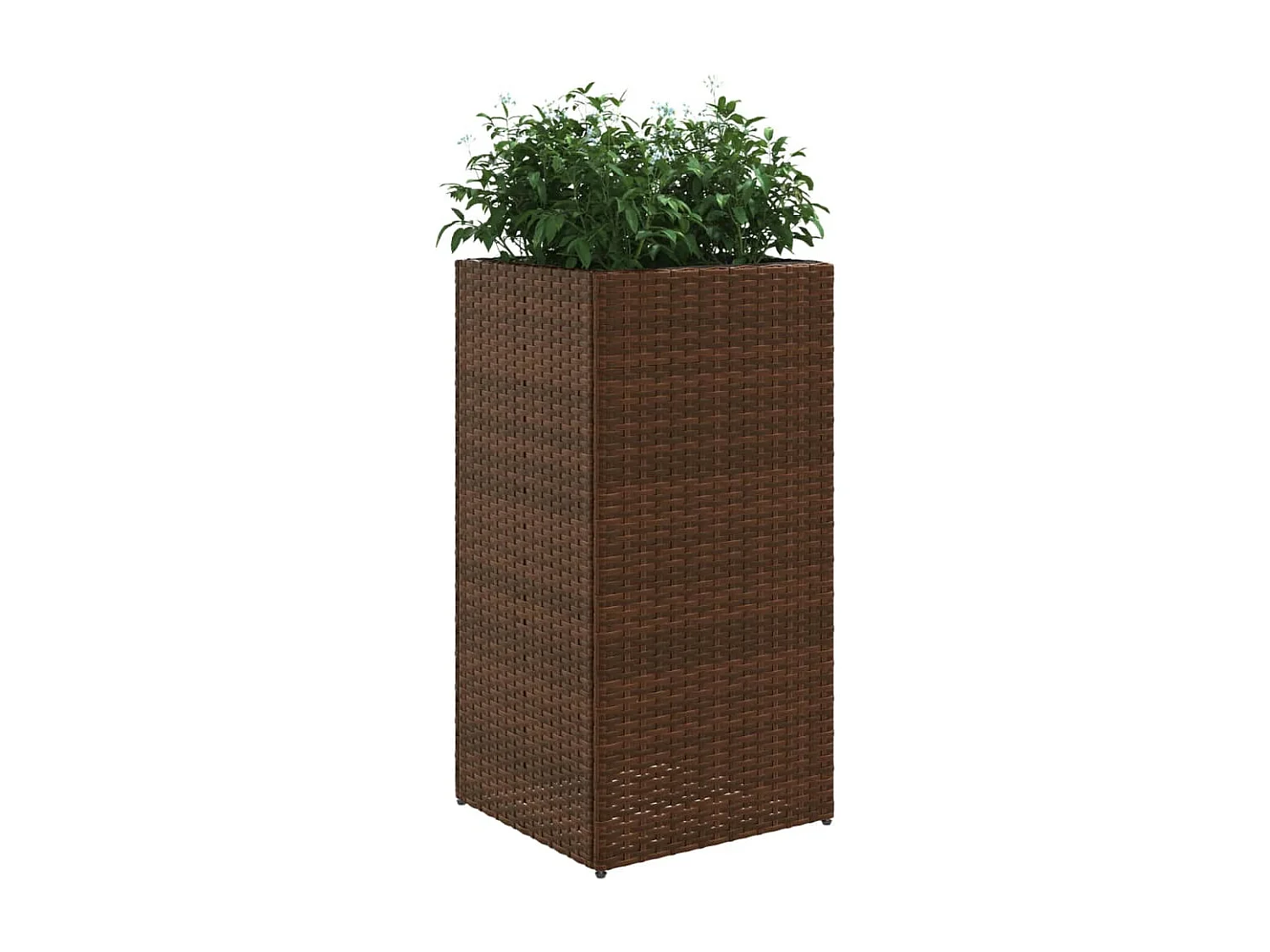 Pflanzkübel 2 Stk. Braun 40x40x80 cm Poly Rattan