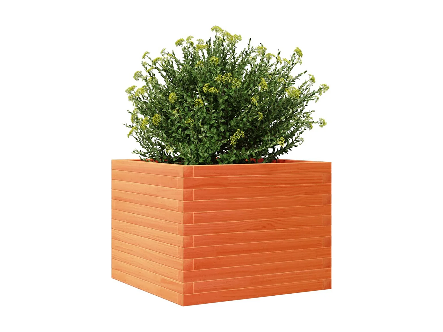 Fioriera Giardino Marrone Cera 60x60x45,5cm Legno Massello Pino