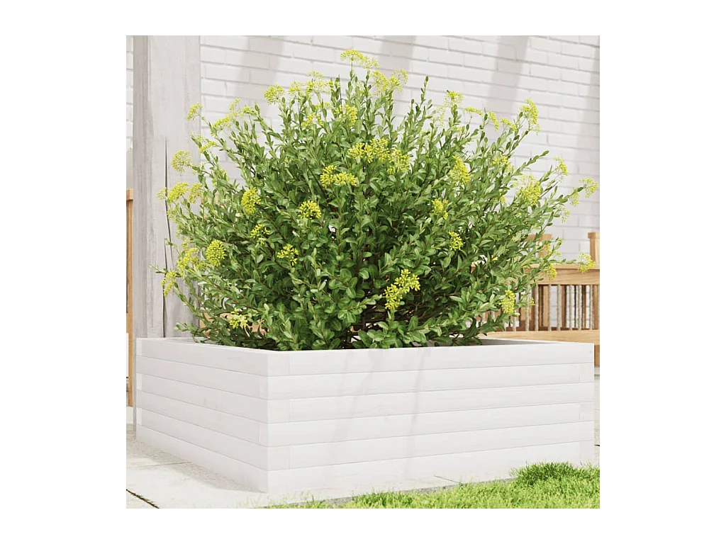 Jardinière blanc 70x70x23 cm bois de pin massif
