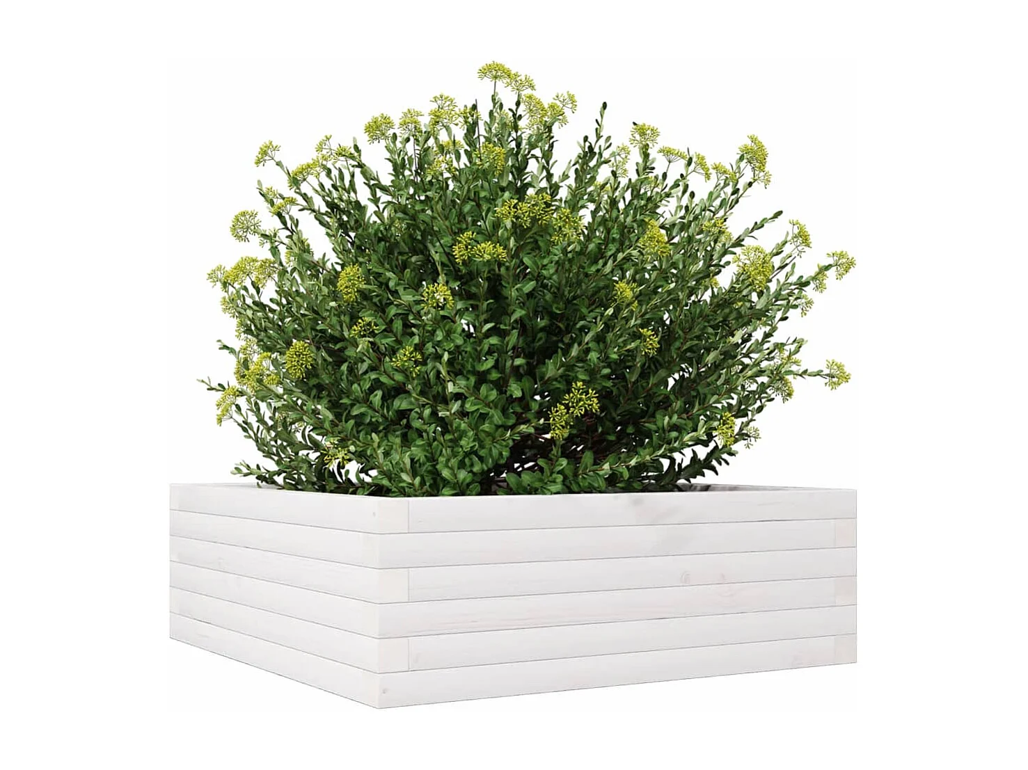 Jardinière blanc 70x70x23 cm bois de pin massif