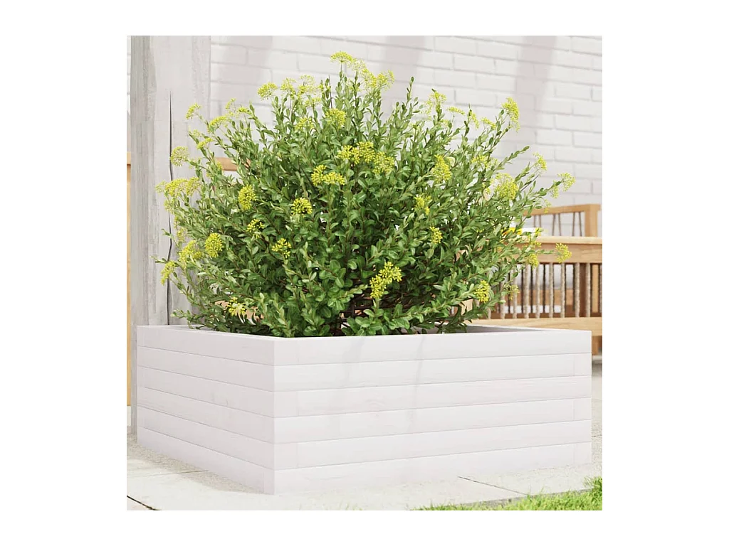 Fioriera da Giardino Bianca 60x60x23 cm Legno Massello di Pino