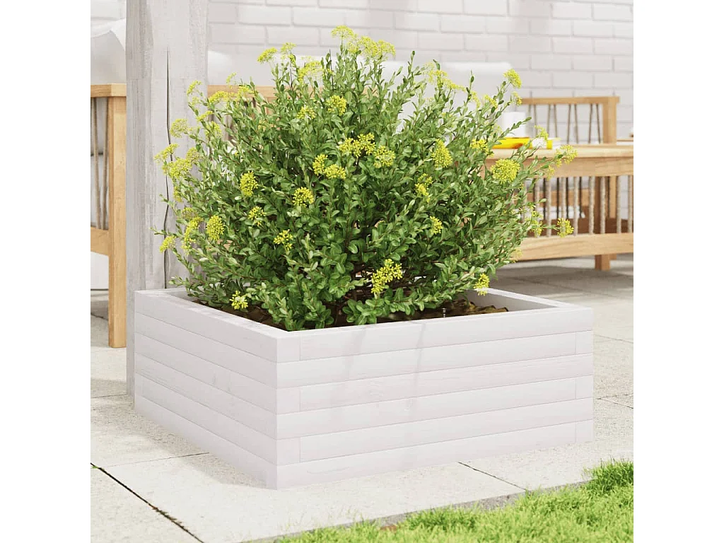 Jardinière blanc 60x60x23 cm bois de pin massif