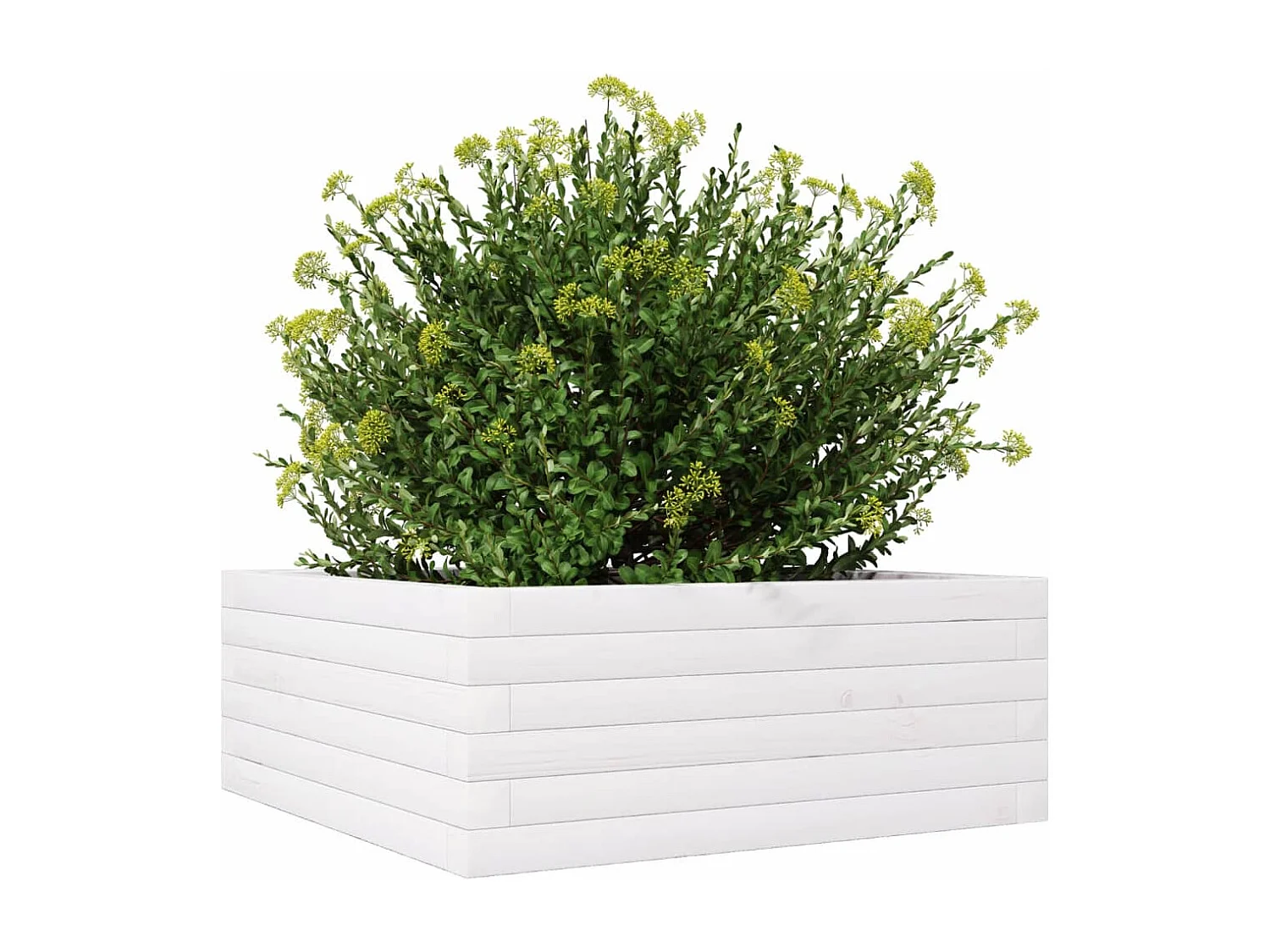 Jardinière blanc 60x60x23 cm bois de pin massif