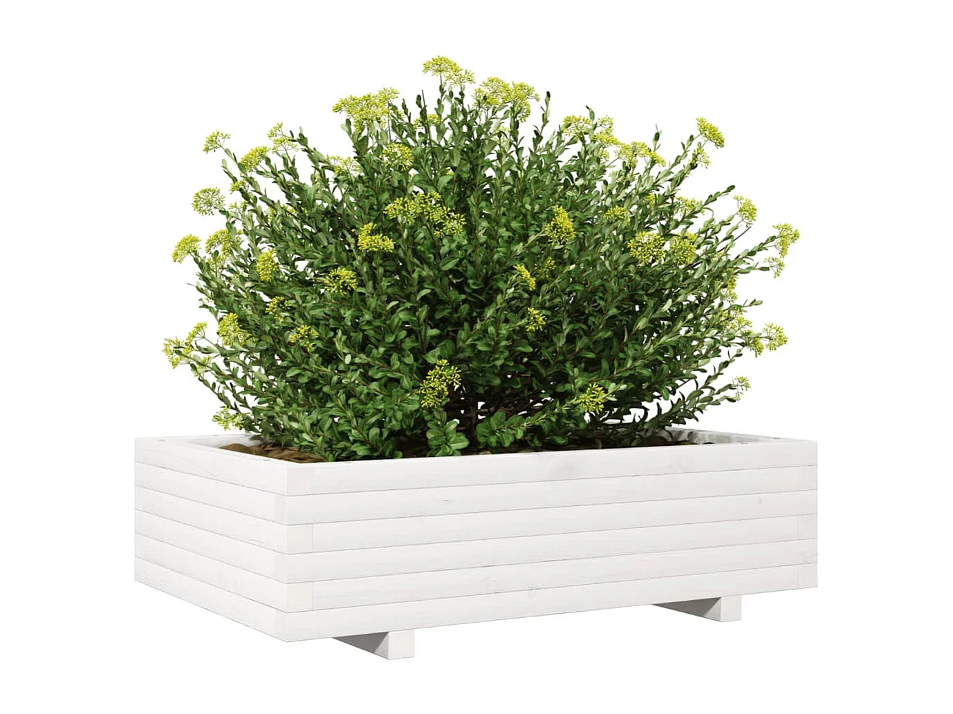 Jardinière blanc 90x60x26,5 cm bois de pin massif