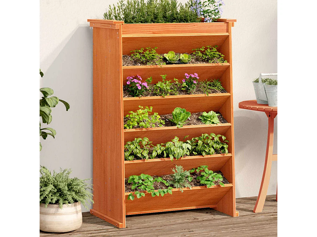 Fioriera Erbe 6 Ripiani Marrone Cera 69x40x101,5cm Legno Pino