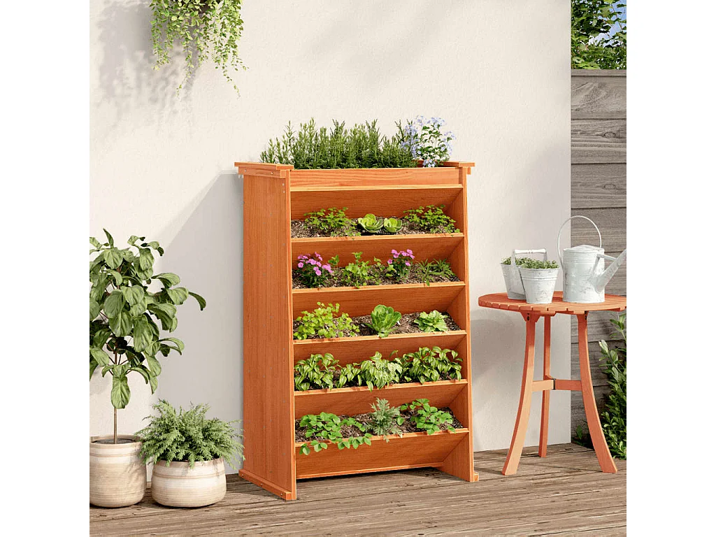 Fioriera Erbe 6 Ripiani Marrone Cera 69x40x101,5cm Legno Pino