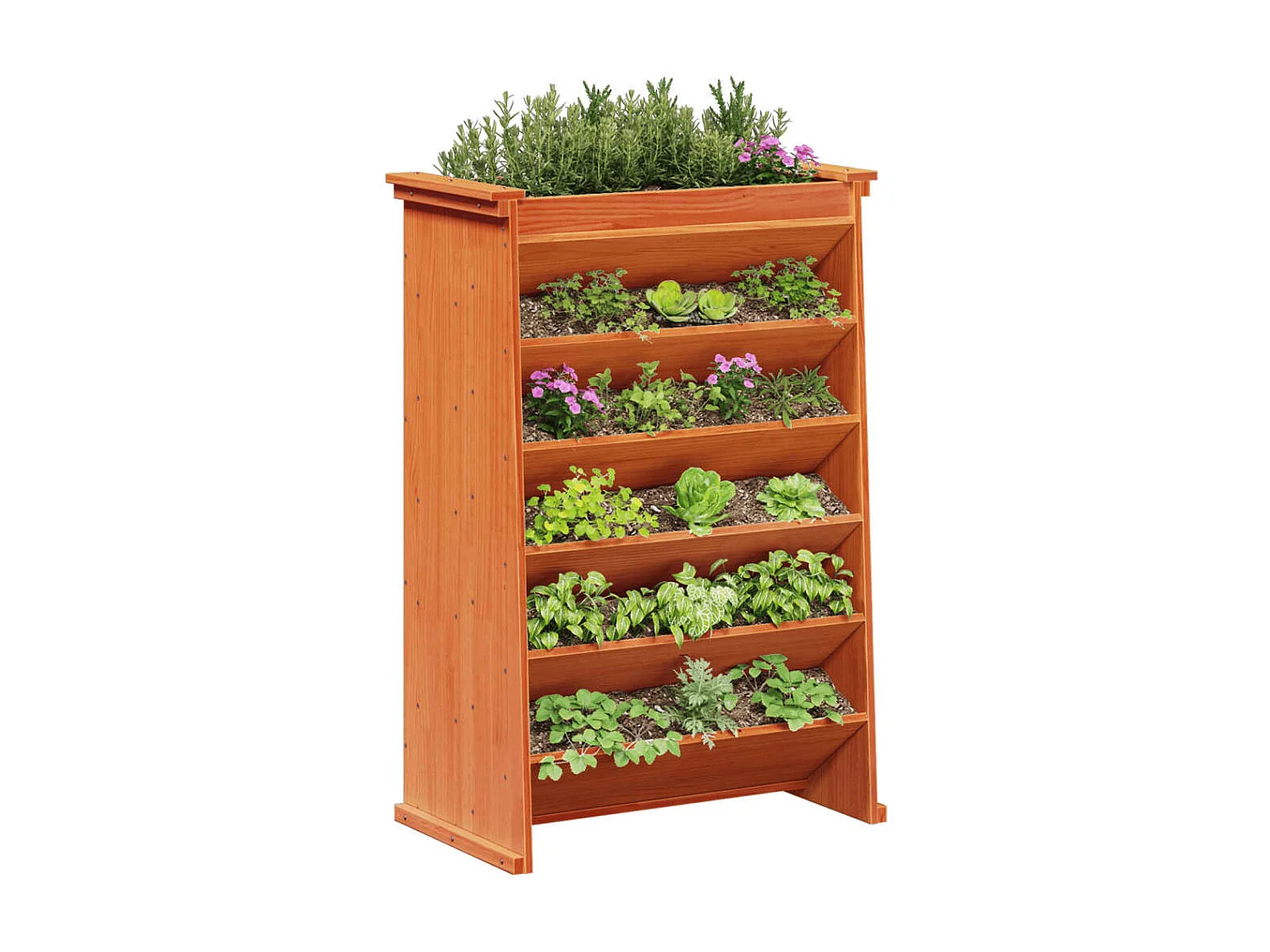 Fioriera Erbe 6 Ripiani Marrone Cera 69x40x101,5cm Legno Pino