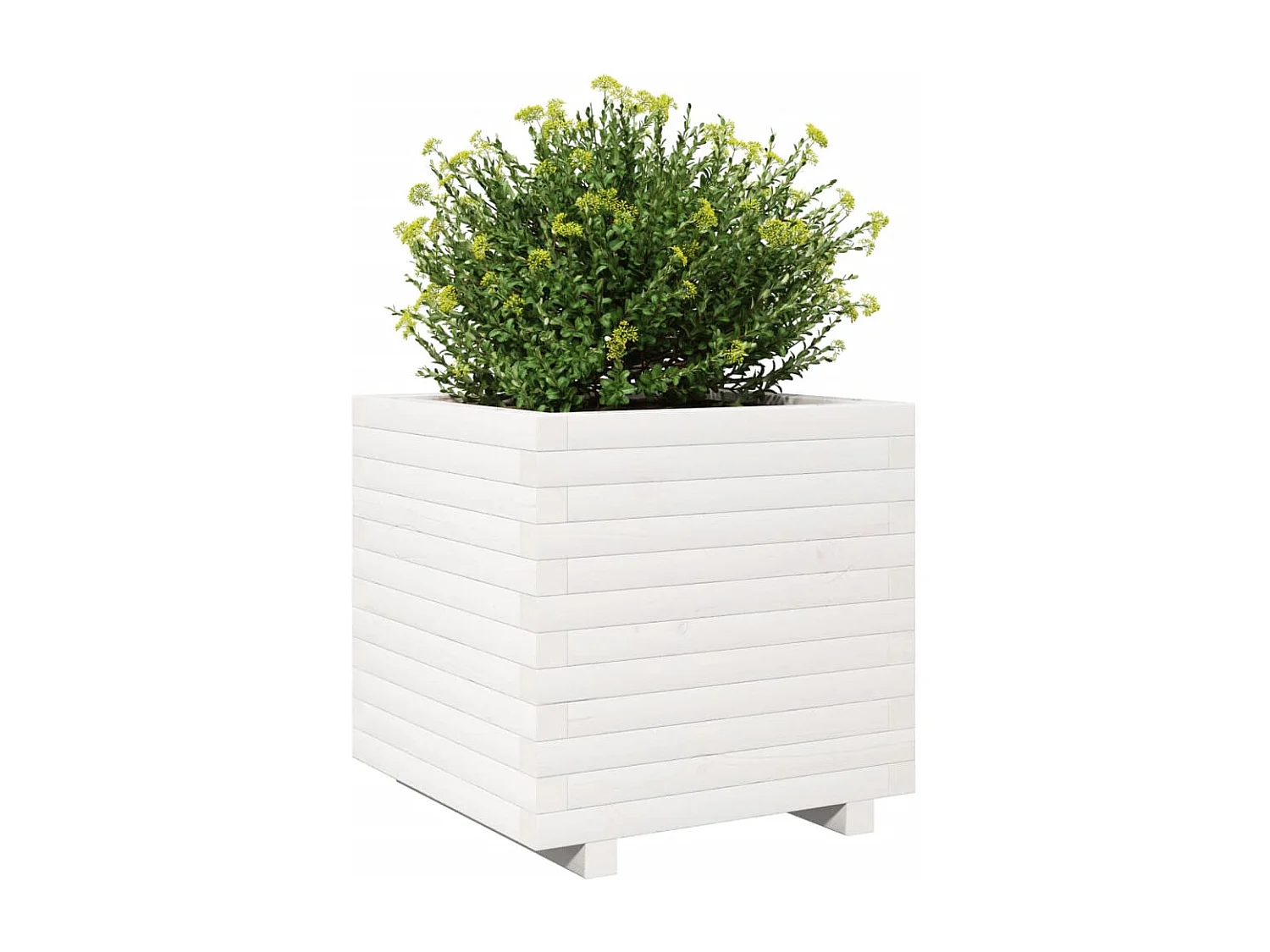 Jardinière blanc 50x50x49,5 cm bois de pin massif