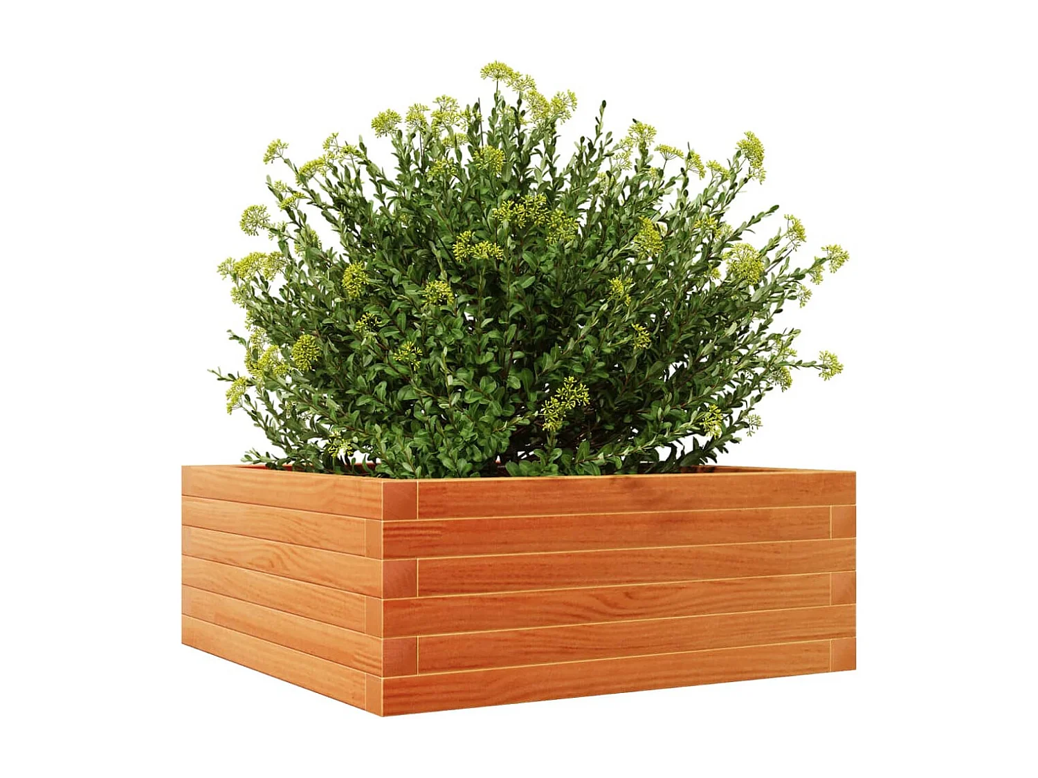 Fioriera Giardino Marrone Cera 60x60x23 cm Legno Massello Pino