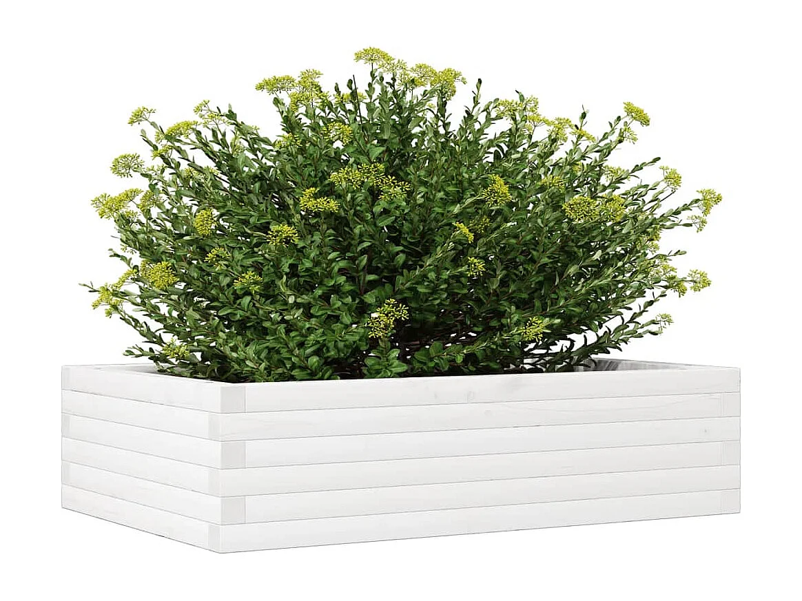 Jardinière blanc 90x60x23 cm bois de pin massif
