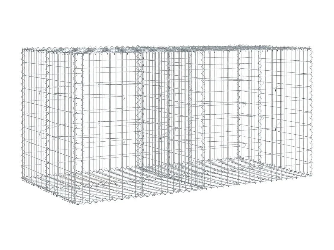 Gabione mit Deckel 200x100x100 cm Verzinktes Eisen