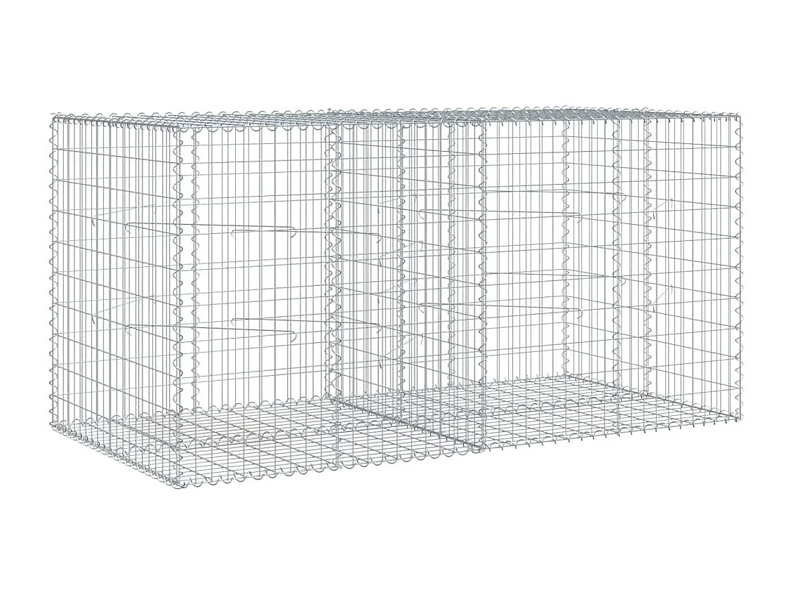 Gabione mit Deckel 200x100x100 cm Verzinktes Eisen