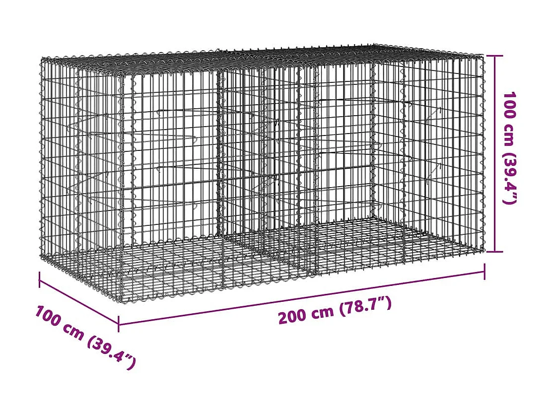 Gabione mit Deckel 200x100x100 cm Verzinktes Eisen