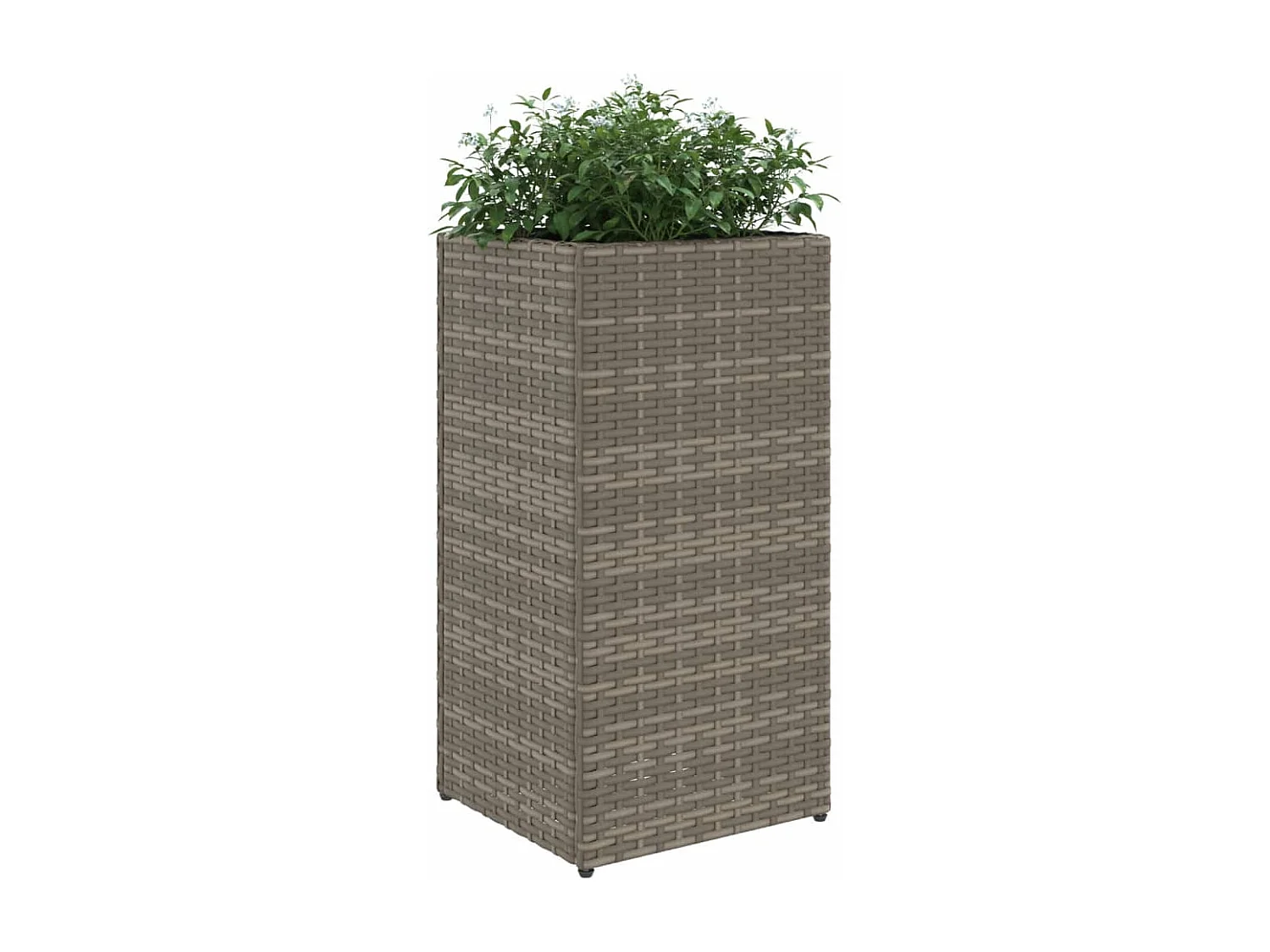 Jardinières 2 pcs gris 30x30x60 cm résine tressée