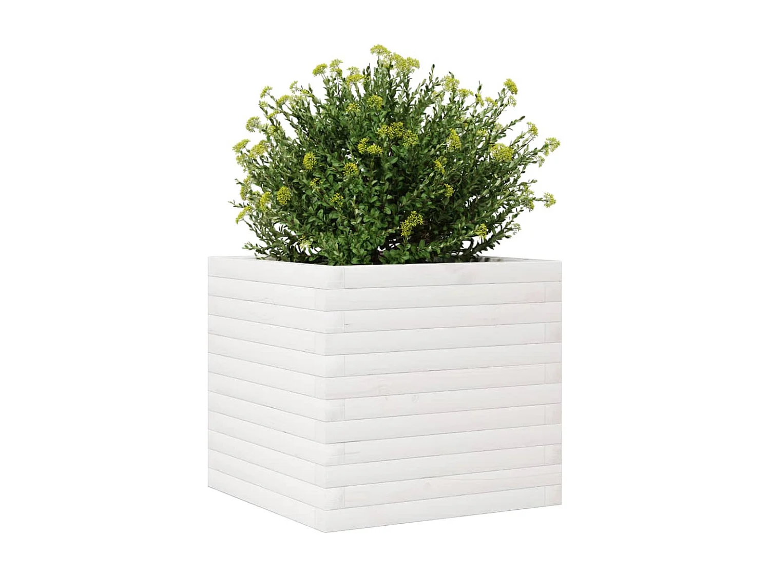 Jardinière blanc 50x50x45,5 cm bois de pin massif