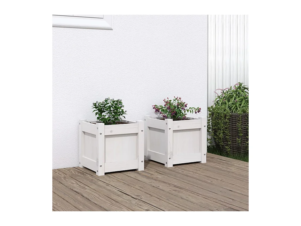 Jardinières 2 pcs blanc bois de pin massif